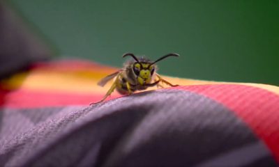 mistrzostwa świata PDC 2026, MŚ PDC 2026, osa