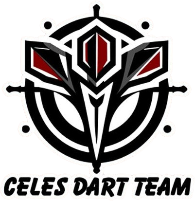 DartTeam
